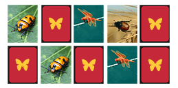 Jeux de mémoire pour enfants: Les Insectes